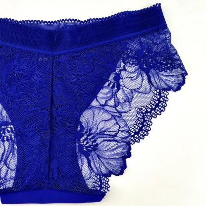 Seamless Sheer Lace Panty with Floral Design - Image 11